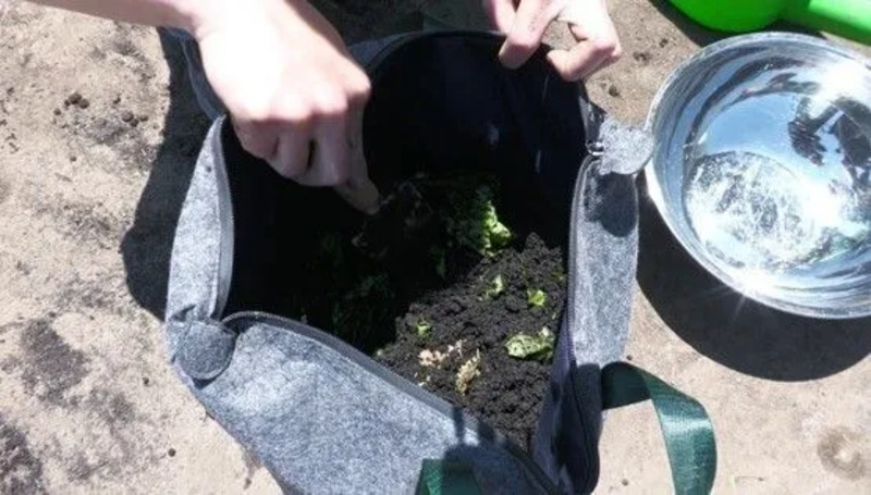 バッグ型コンポスト