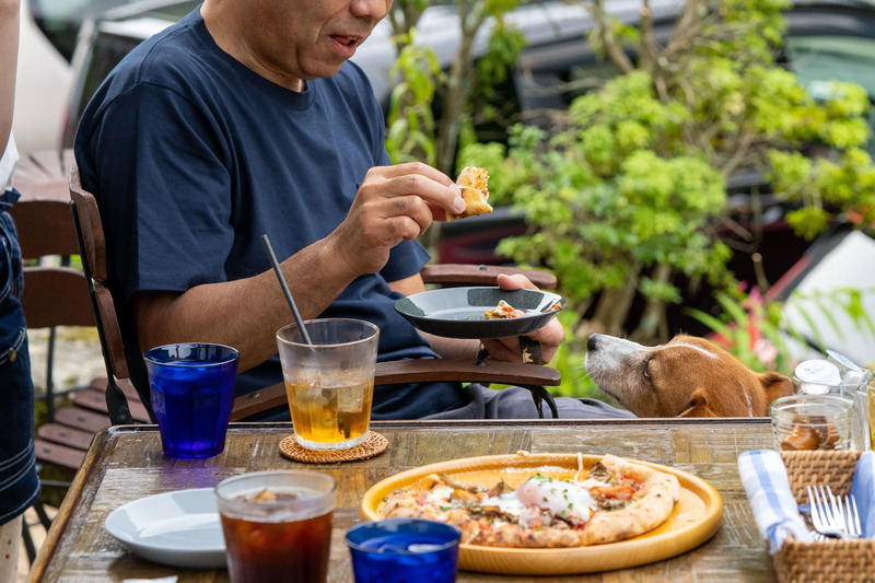 テラス席では、ペットと一緒にお食事を楽しめます（提供：シマテラス- Shima Terrace）