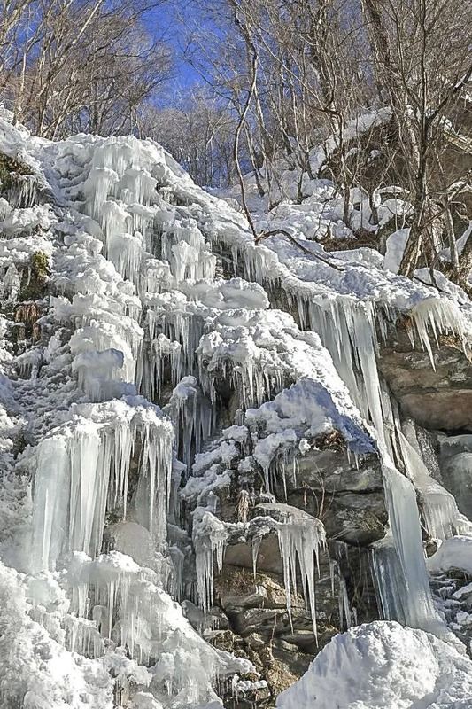 Oirase Stream's Ice Waterfalls