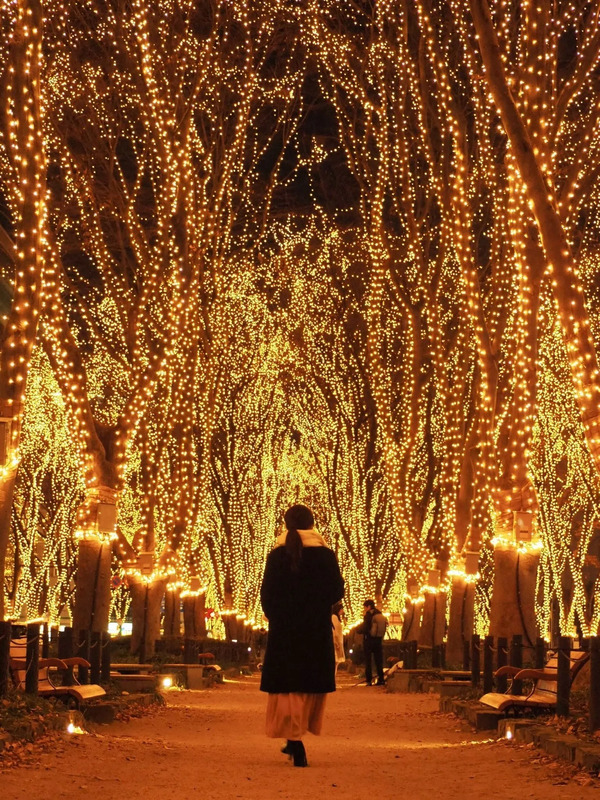 Sendai Paegant of Starlight