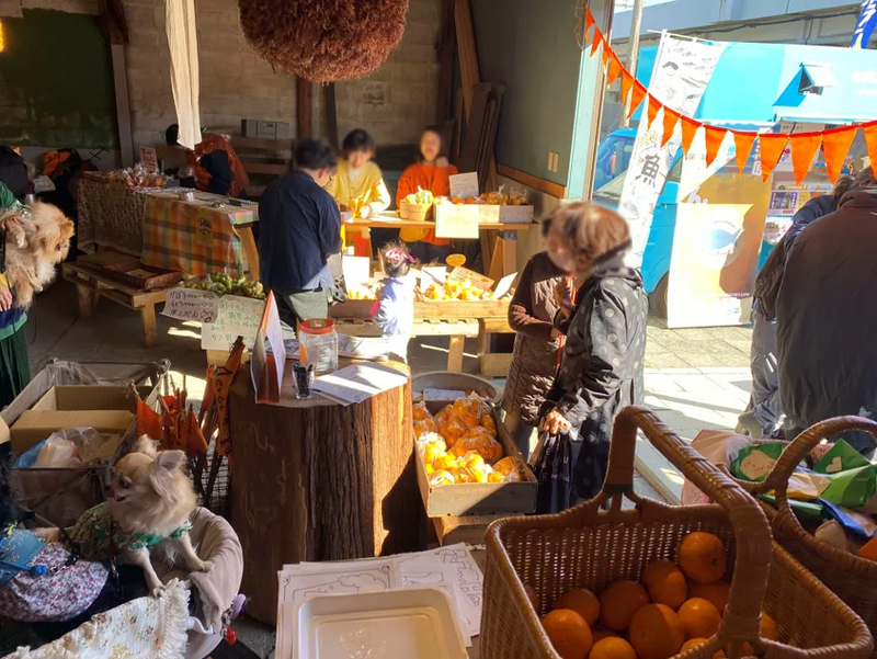 みかんマルシェ(2024年の様子)