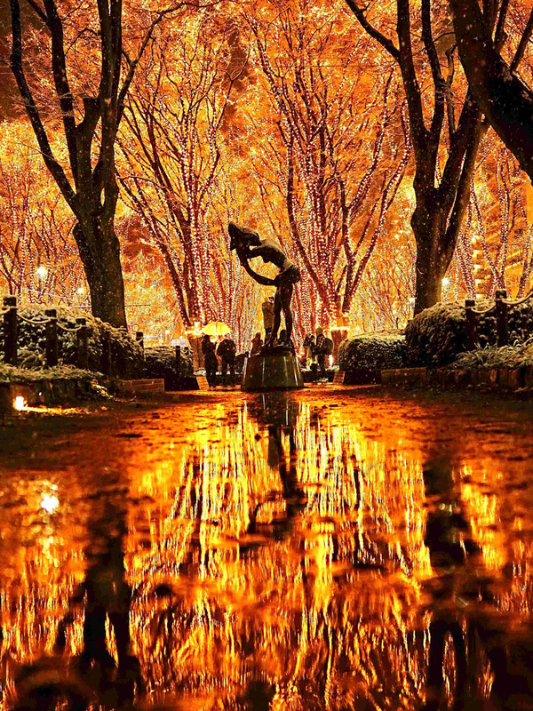 仙台光のページェント画像