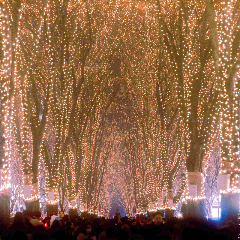 仙台光のページェント画像