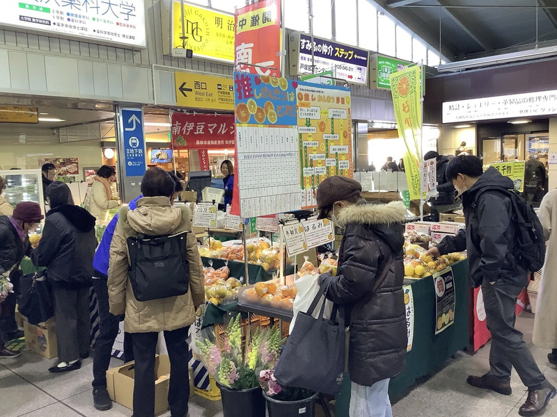 南伊豆マルシェの様子