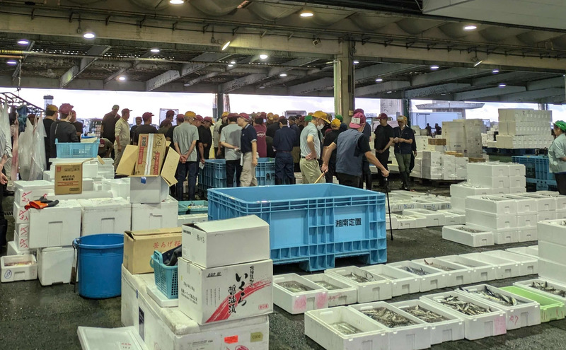 小田原漁港の様子