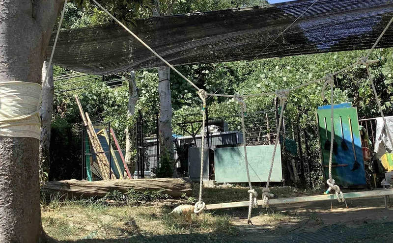 手作りブランコ（港南台生き生きプレイパーク開催時）