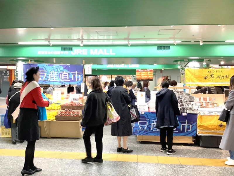 2024年度  横浜駅  伊豆産直市実施風景