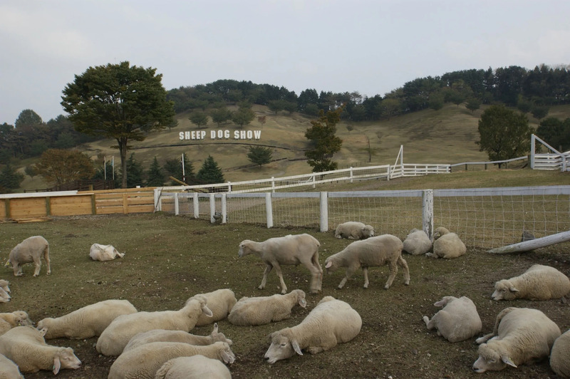 グリーン牧場 渋川