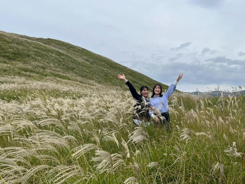 金色の海原 細野高原