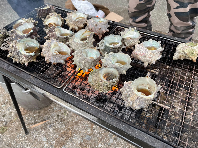 特急「下田水仙まつり号」乗車特典「 サザエのつぼ焼き」