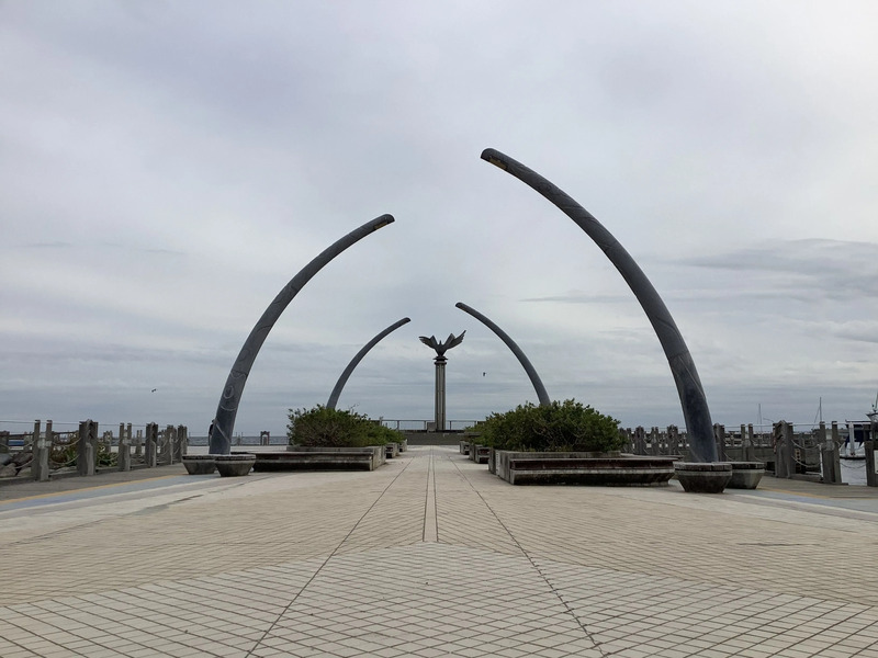 親水公園(ムーンテラス)