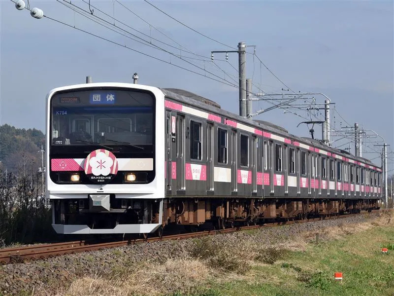 E501 SAKIGAKE