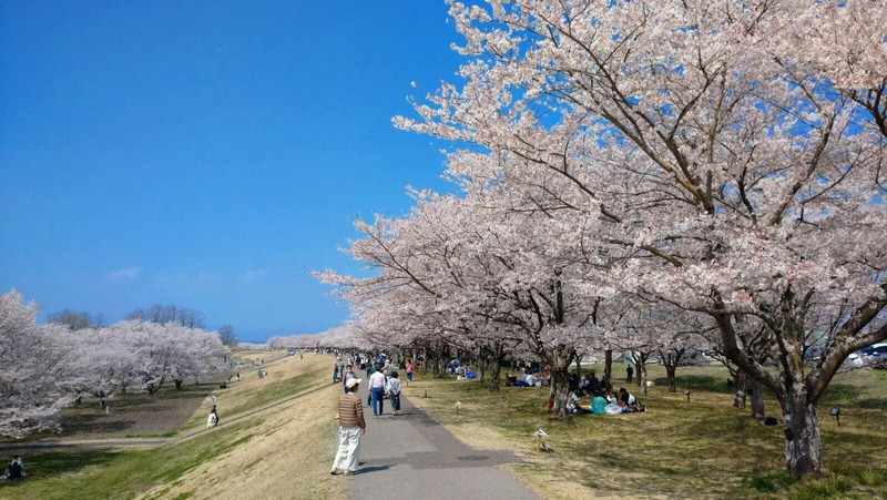 氏家ゆうゆうパーク