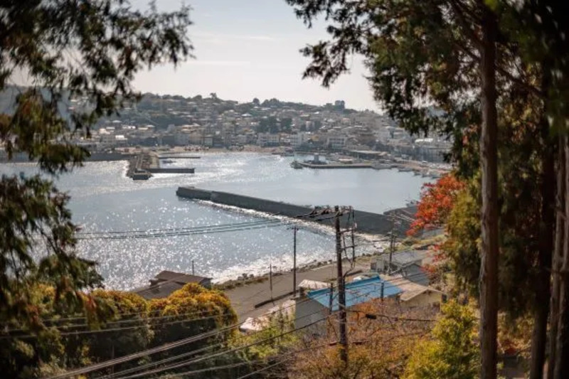 素盞鳴神社から見下ろす稲取漁港
