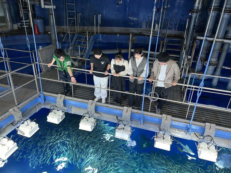 バックヤードツアー