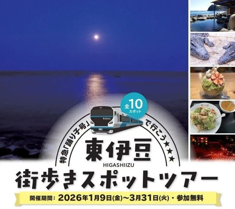 特急「踊り子号」で行こう 東伊豆街歩きスポットツアー