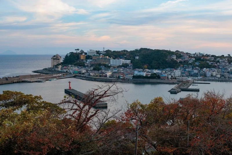 東伊豆町の漁港を見おろす風景