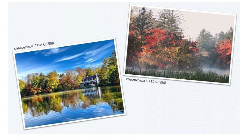 提供：chappypapa1111さん