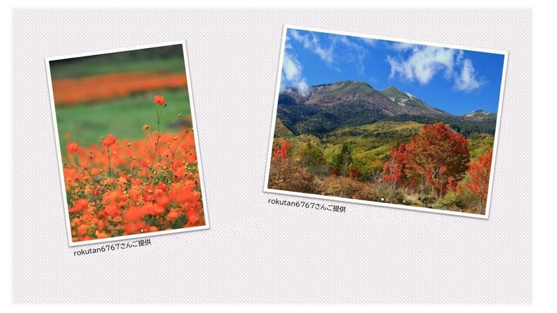 提供：rokutan6767さん
