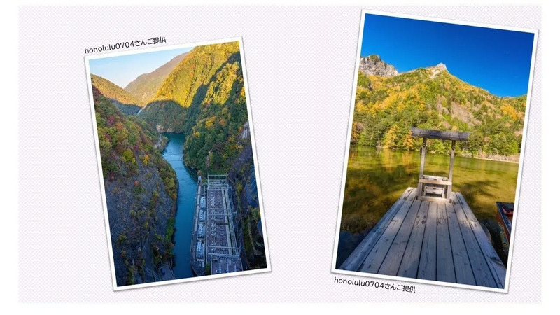 提供：honolulu0704さん