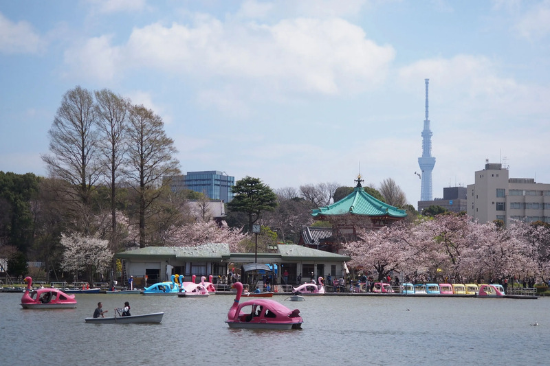 東京都台東区ふるさと納税：上野恩賜公園