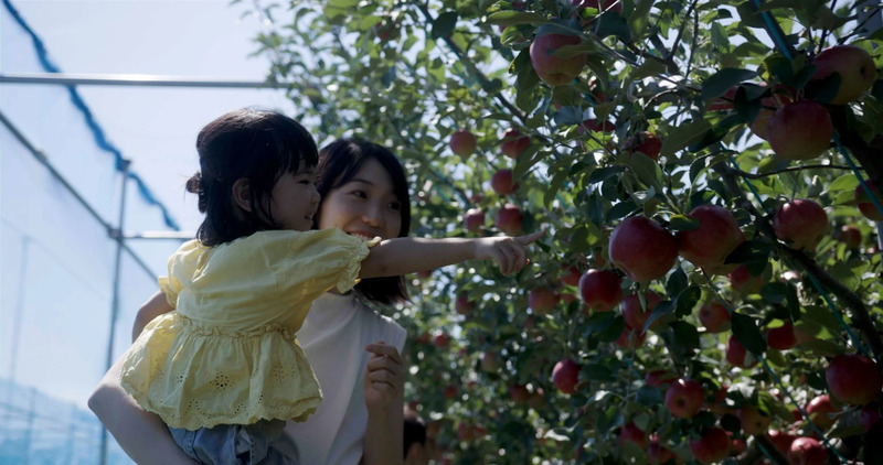 ＜初売会場販売＞JRフルーツパーク仙台あらはま 年間摘み取り体験福袋