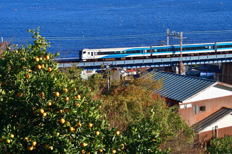 海沿いを走る特急「踊り子」