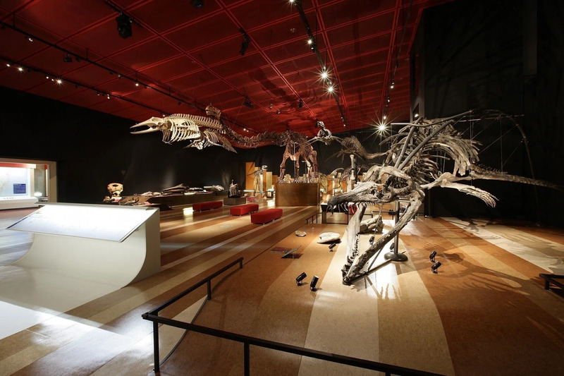 いわき市石炭・化石館ほるる