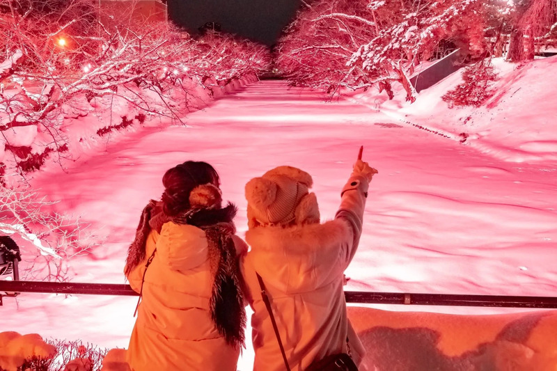 青森県弘前市：冬に咲くさくらライトアップ