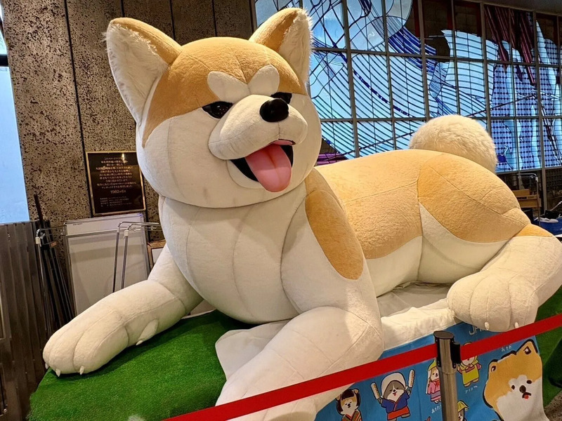 秋田犬バルーン