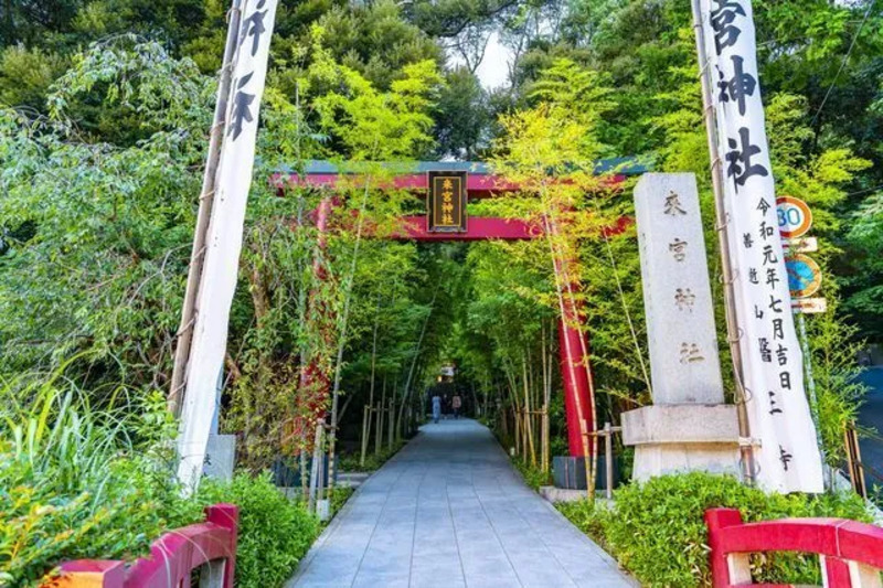 来宮神社,熱海観光,熱海旅行,熱海モデルコース,熱海1泊2日