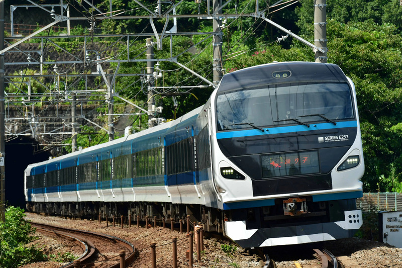 特急「踊り子」