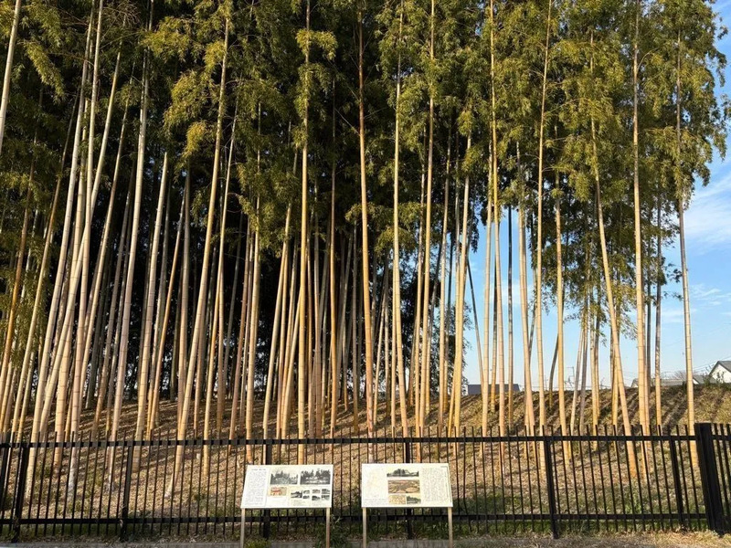 古河城獅子ヶ崎土塁