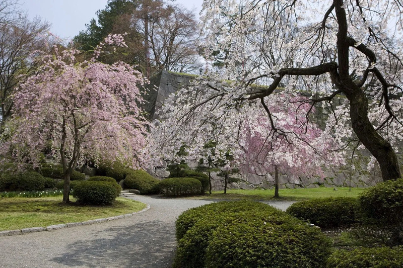 盛岡 日帰り 観光