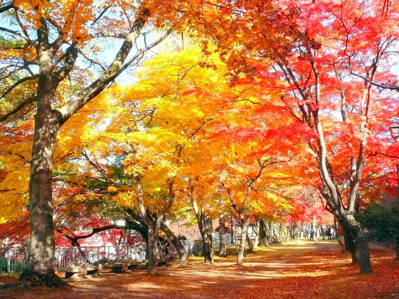 盛岡 日帰り 観光