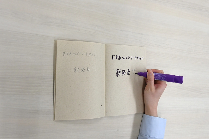 山形新幹線 山形マスコットキャラクター つどりぃ お土産 E8系 つばさ