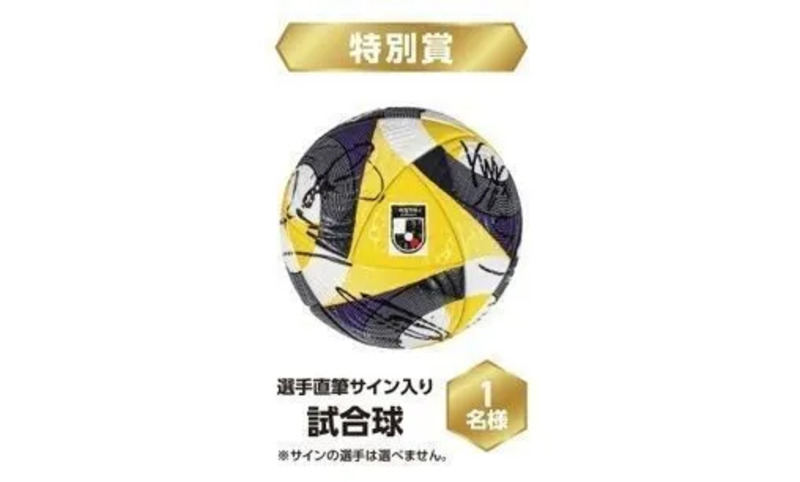 選手直筆サイン入り試合球イメージ（提供：F・マリノススポーツクラブ）