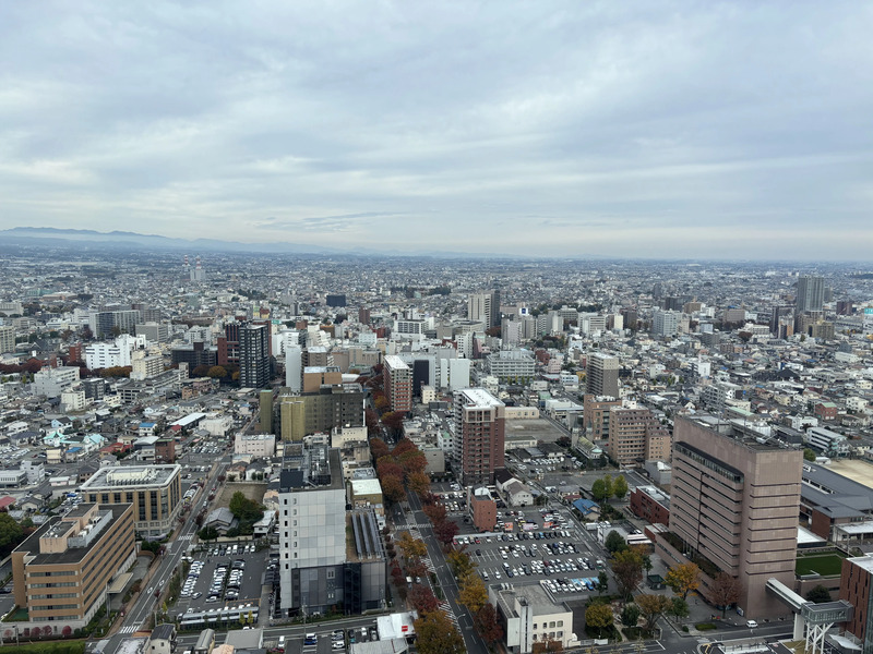 展望台からの眺め