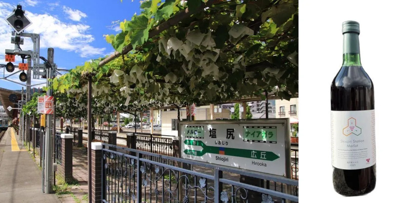 （左）塩尻駅ホームぶどう棚（右）塩尻駅メルロ