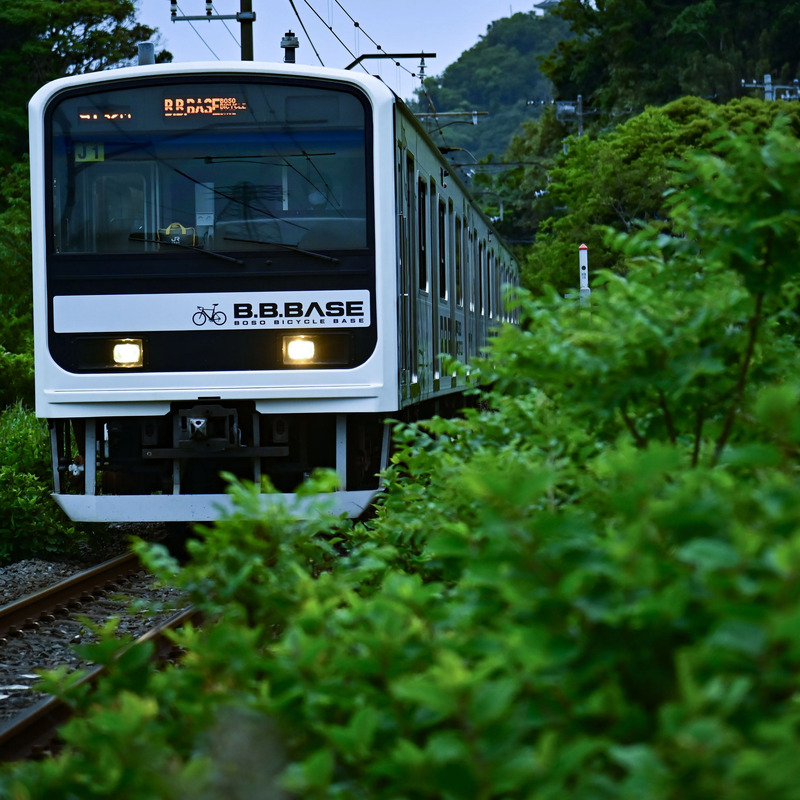 緑の中を走るB.B.BASE