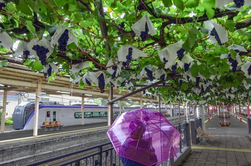 提供：観光協会