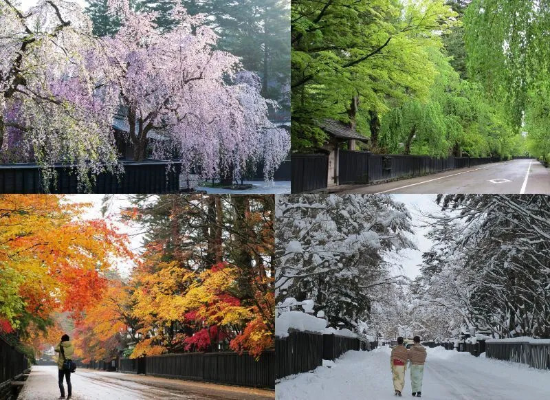 角館の四季