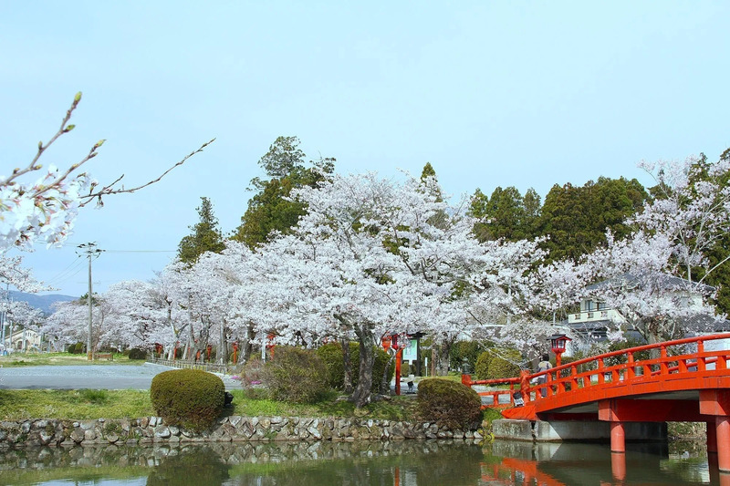 涼ヶ岡八幡神社