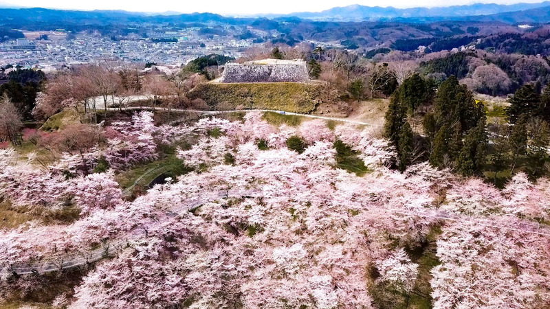 県立霞ヶ城公園