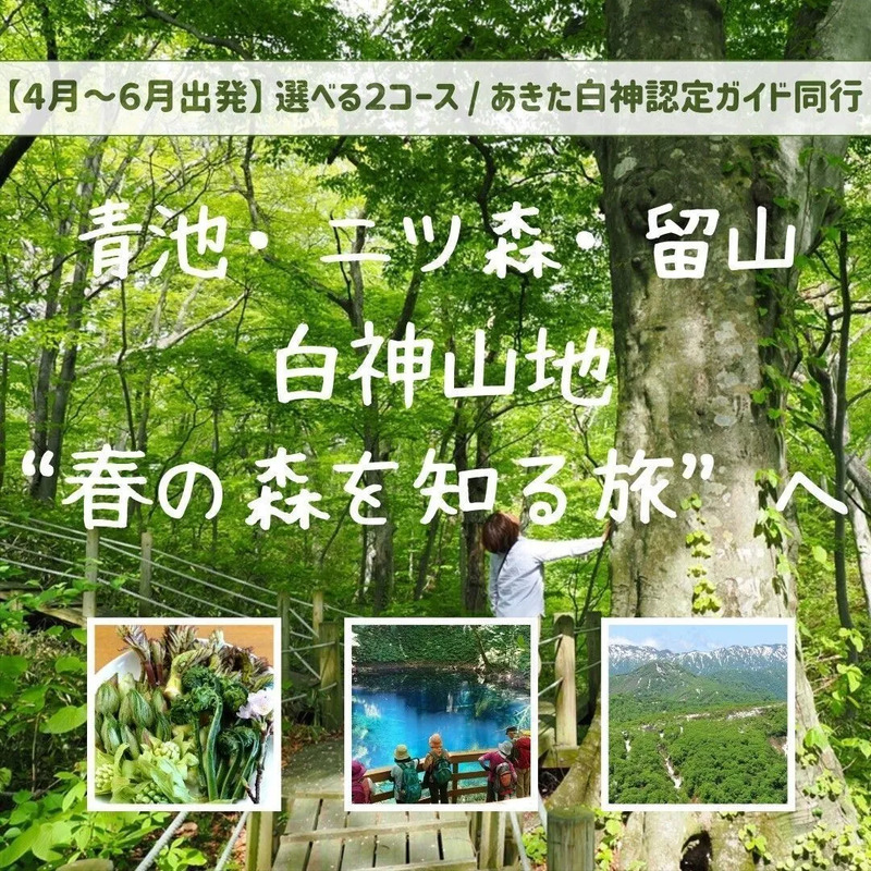 白神山地,春,秋田,青森