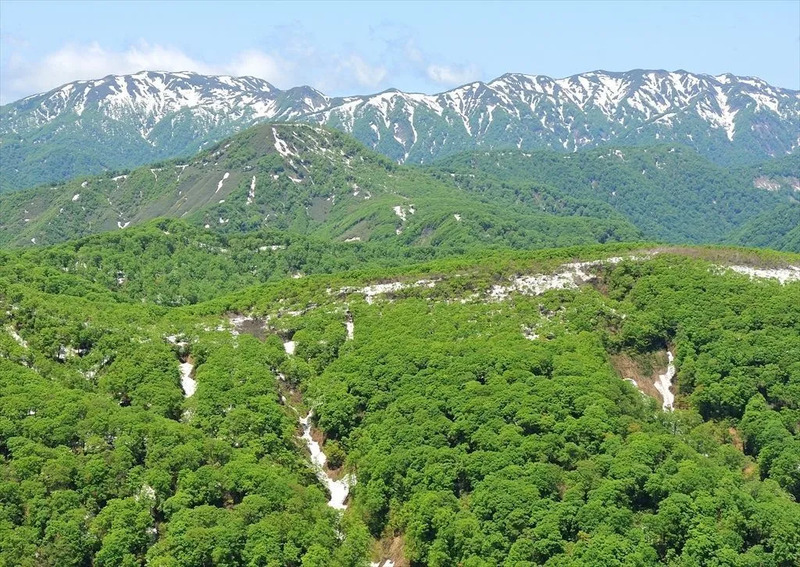 白神山地,春,秋田