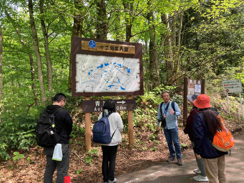 白神山地,春,秋田,青森