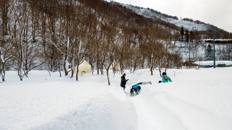 冬には雪遊びも