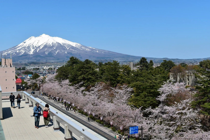 弘前市役所 前川本館 屋上