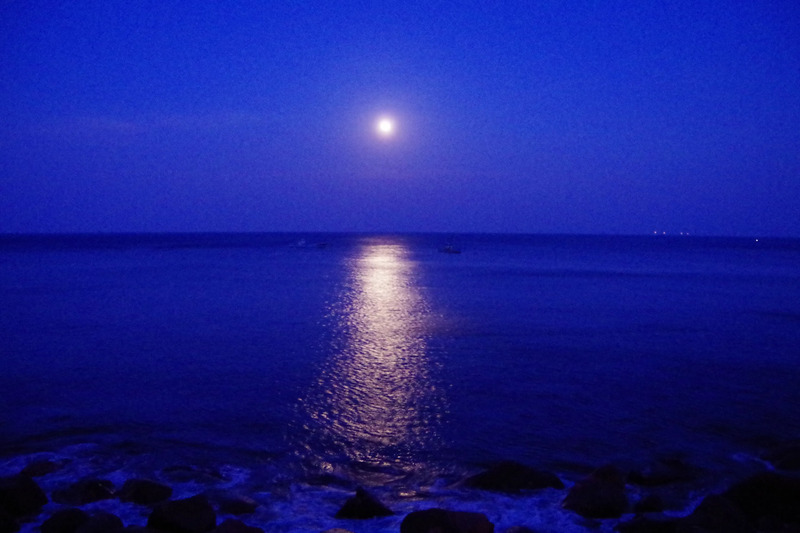 東伊豆町 ムーンロード